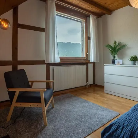 Jungfrau-view Apartment, Terrace & Free Parking Apartment