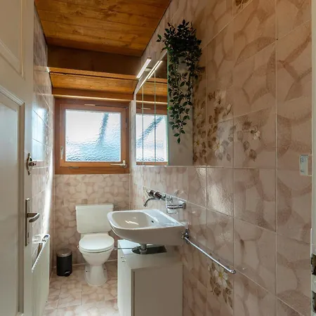 Apartment Jungfrau-view Apartment, Terrace & Free Parking Wilderswil