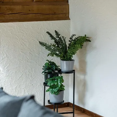 アパート Jungfrau-view Apartment, Terrace & Free Parking ヴィルダースヴィル